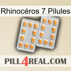 Rhinocéros 7 Pilules cialis4